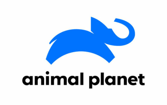 How to Activate Animal Planet on Roku, Fire TV, Ps4, PS5, Xbox, Samsung TV, Apple TV