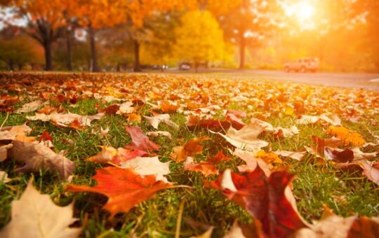 Effective Home Maintenance for this Upcoming Fall Season