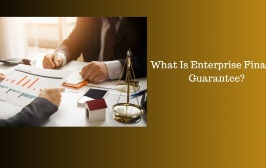 What Is Enterprise Finance Guarantee?